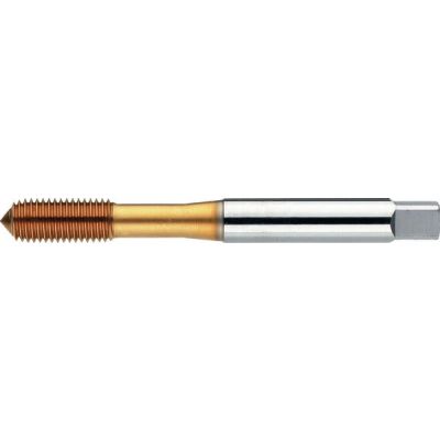 Phantom 26.110 HSS-E Roltap, Metrisch, TiN-gecoat